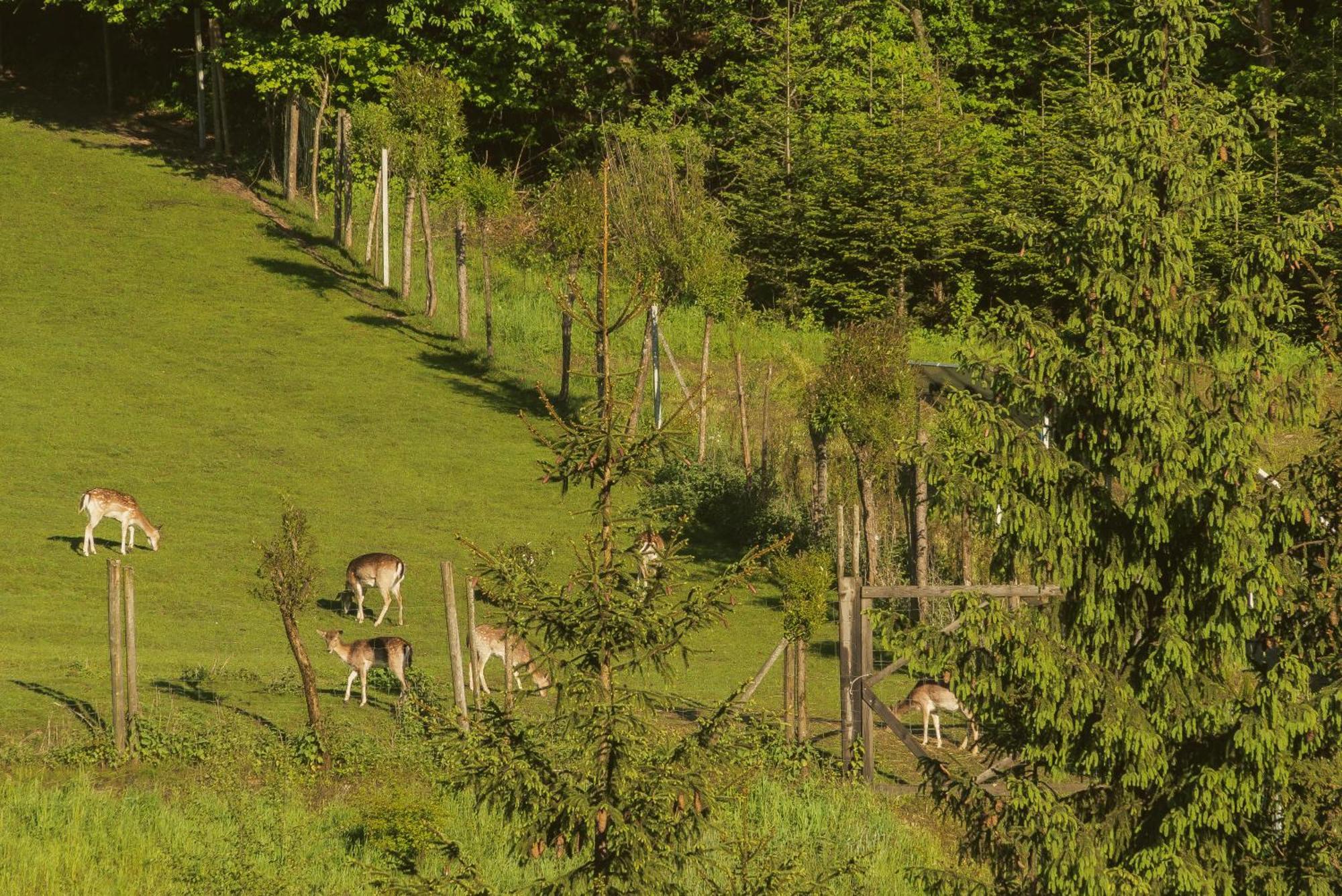 Gabrysiowka Leilighet Tylka Eksteriør bilde